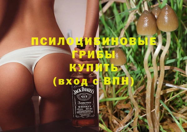 дурь Алексеевка