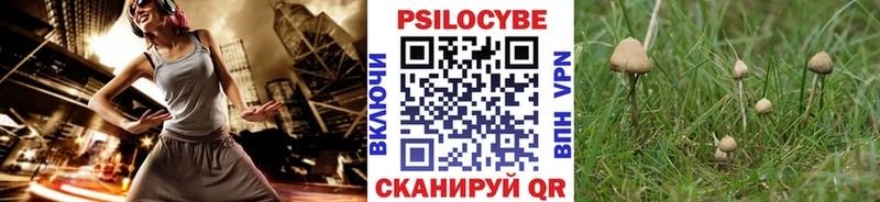Псилоцибиновые грибы мухоморы Барнаул