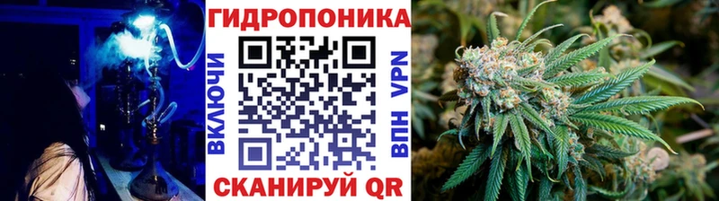 Бошки Шишки тримм Барнаул