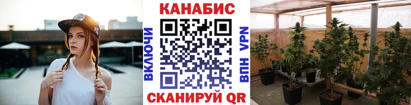 МАРИХУАНА планчик Барнаул